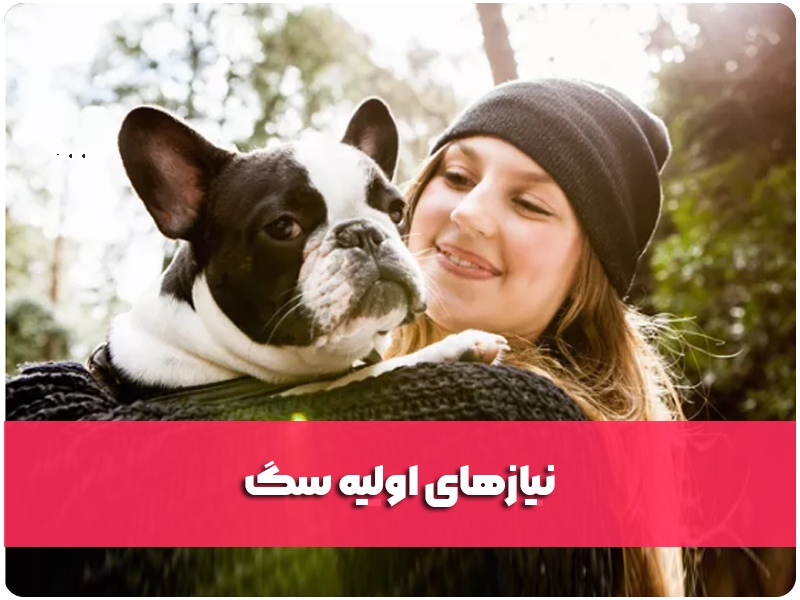 نیازهای اولیه‌ی سگ